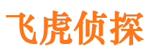 台江侦探